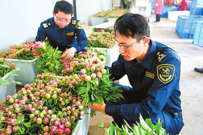 【中原巨變 標(biāo)題列表】鄭州海關(guān)：打造內(nèi)陸強(qiáng)關(guān)助力中原崛起