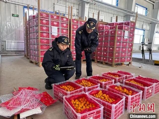 QQ圖片20241230095830.jpg
