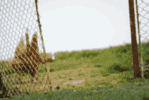 a7900093671612e21f0.gif
