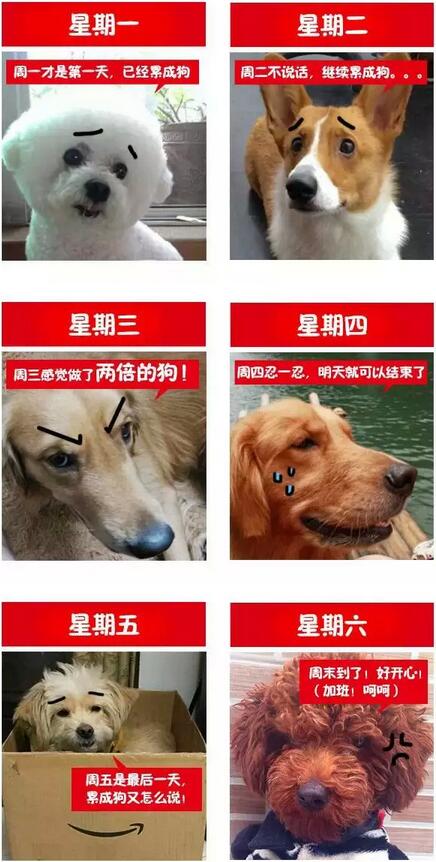 QQ截圖20160106095012.jpg
