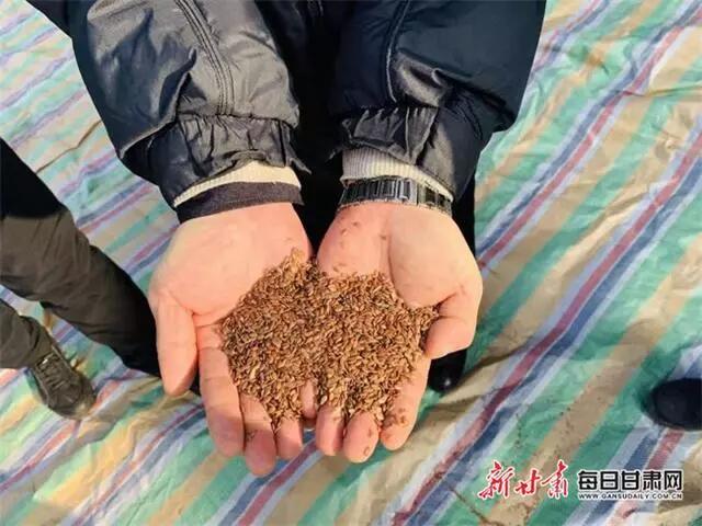 QQ圖片20200118094730.jpg